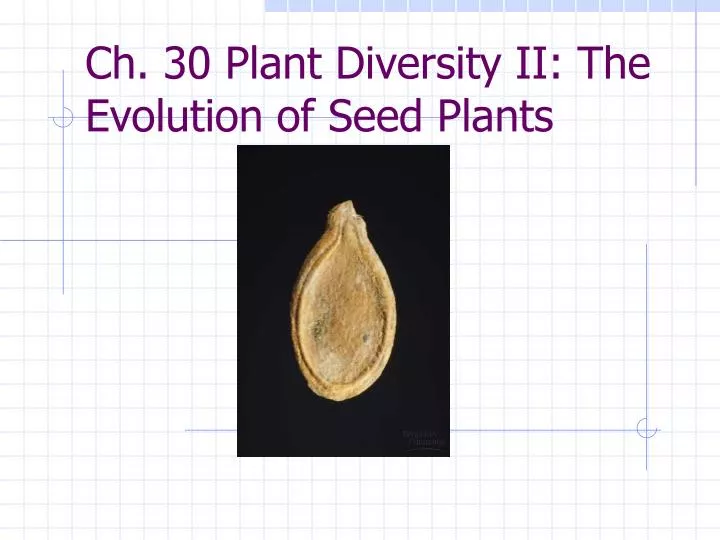 ch 30 plant diversity ii the evolution of seed plants