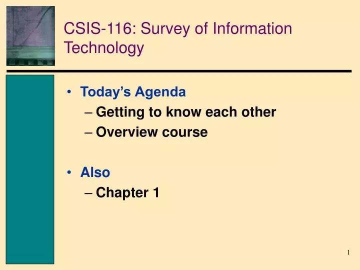 csis 116 survey of information technology