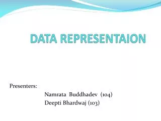 data representaion