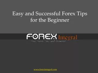 Easy and Successful Forex Tips for the Beginner