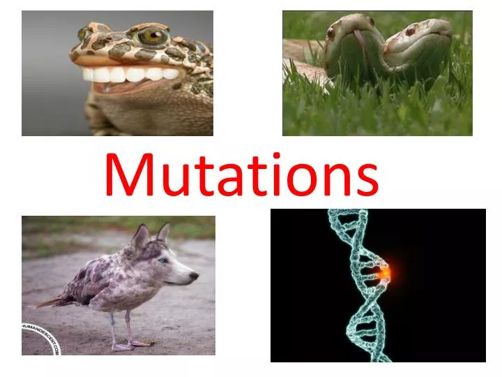 mutations