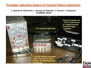 Prototype Calibration System for Forward Hadron Calorimeter