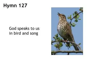 God speaks to us in bird and song