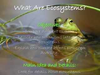 What Are Ecosystems?