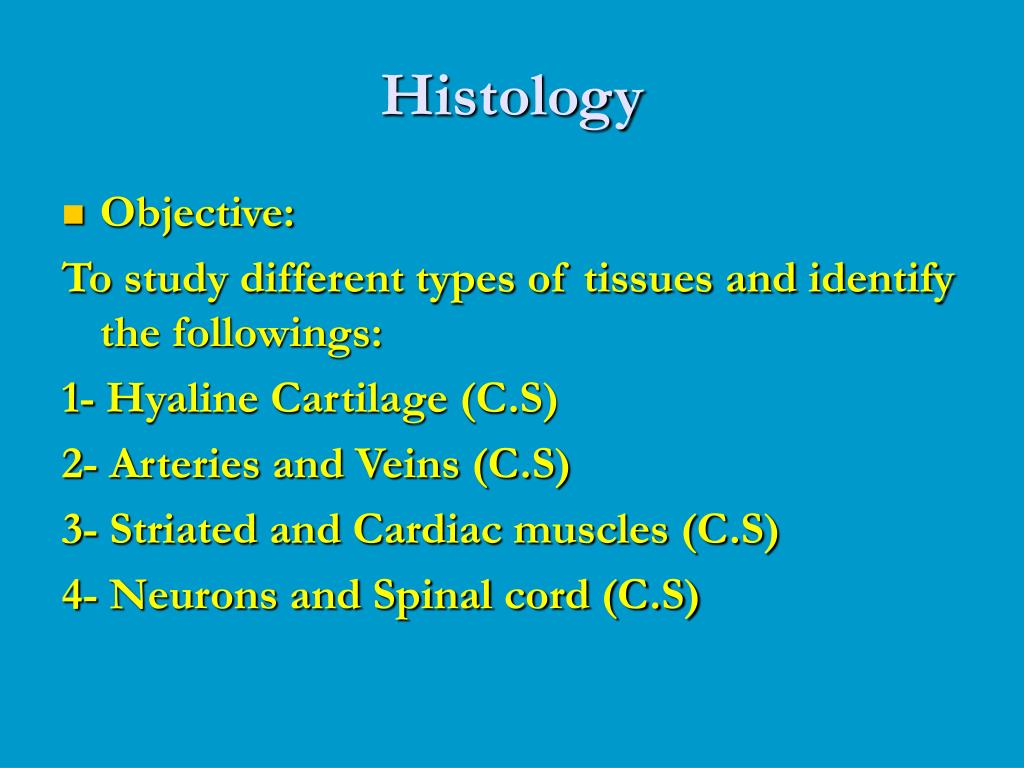 PPT - Histology PowerPoint Presentation, free download - ID:6552505