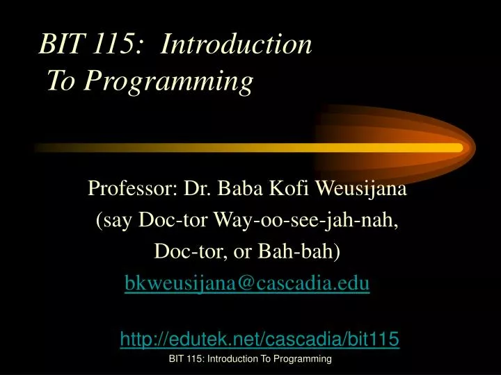 bit 115 introduction to programming