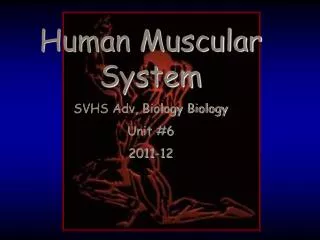 Human Muscular System SVHS Adv, Biology Biology Unit #6 2011-12