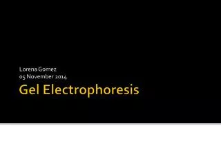 Gel Electrophoresis