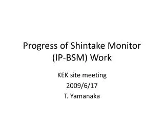 Progress of Shintake Monitor (IP-BSM) Work