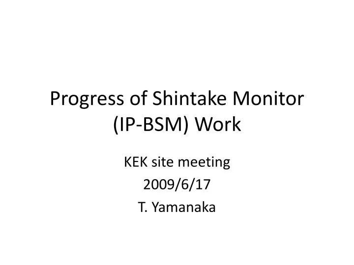 progress of shintake monitor ip bsm work