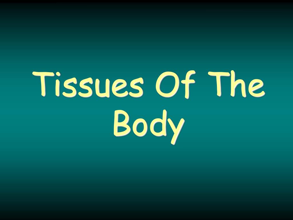 PPT - Tissues Of The Body PowerPoint Presentation, free download - ID ...