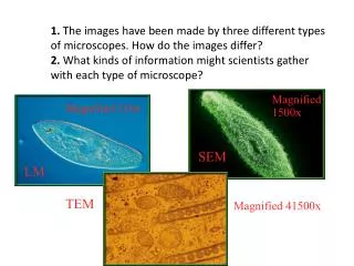 Magnified 41500x