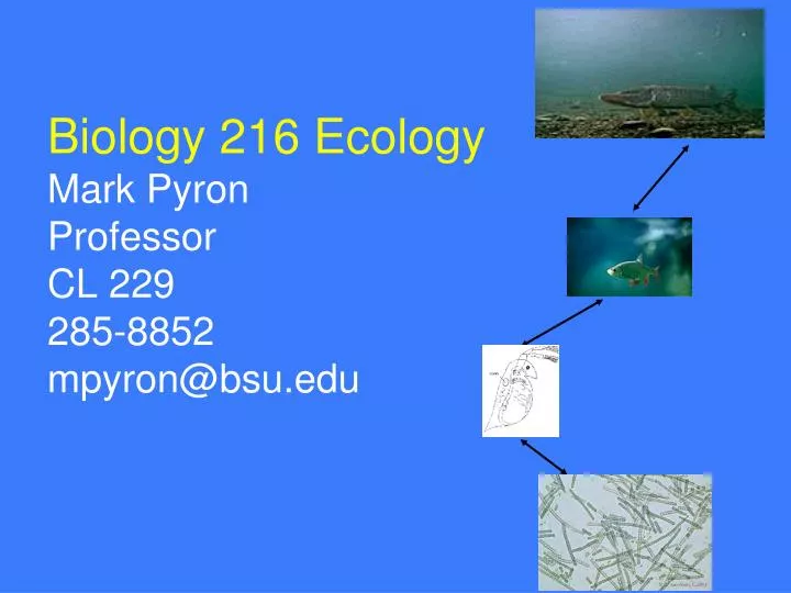 biology 216 ecology mark pyron professor cl 229 285 8852 mpyron@bsu edu