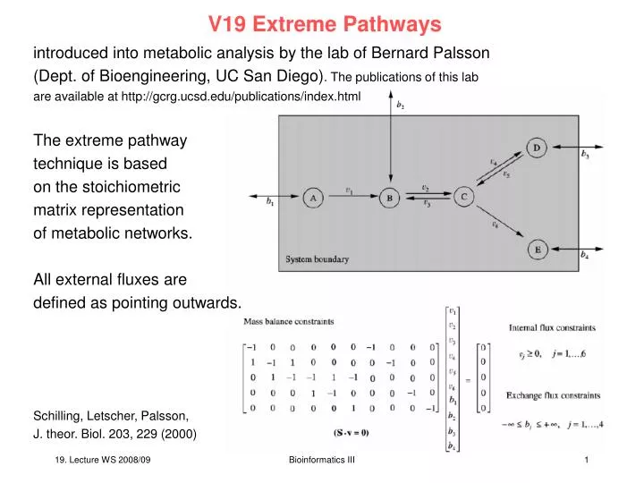 v19 extreme pathways
