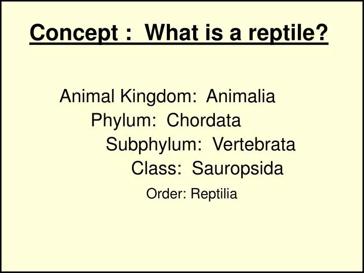concept what is a reptile