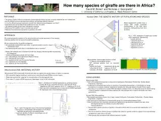 How many species of giraffe are there in Africa? David M. Brown 1 and Nicholas J. Georgiadis 2
