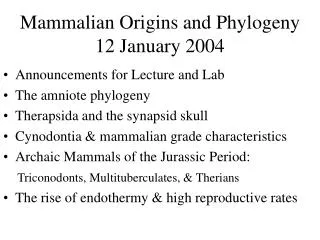 Mammalian Origins and Phylogeny 12 January 2004