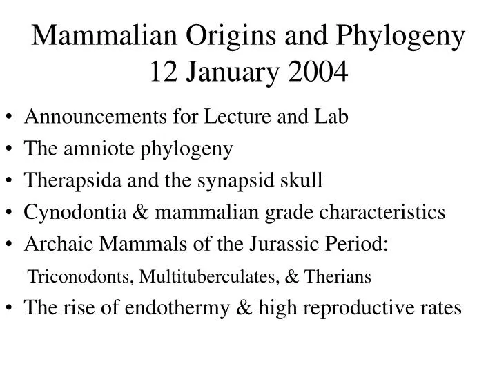 mammalian origins and phylogeny 12 january 2004