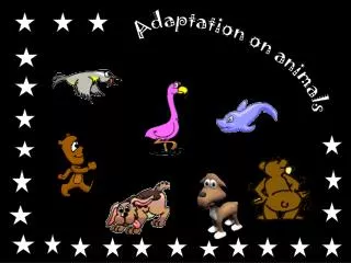 Adaptation on animals