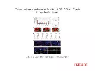 J Zhu et al. Nature 000 , 1-4 (2013) doi:10.1038/nature12110