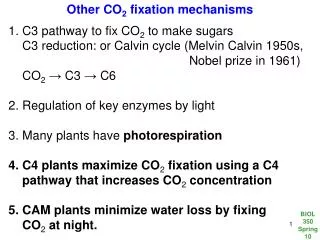 Other CO 2 fixation mechanisms