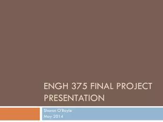 ENGH 375 Final Project Presentation