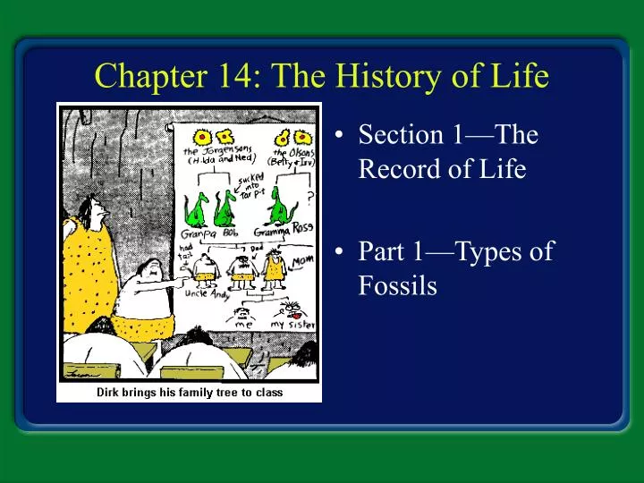 chapter 14 the history of life