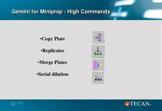 Gemini for Miniprep - High Commands