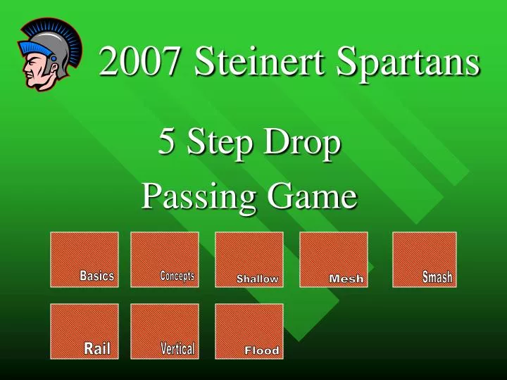 2007 steinert spartans
