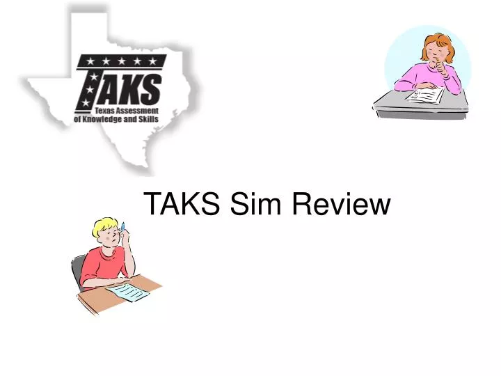 taks sim review