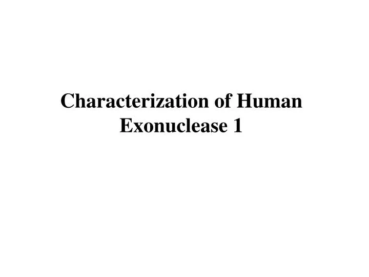 characterization of human exonuclease 1