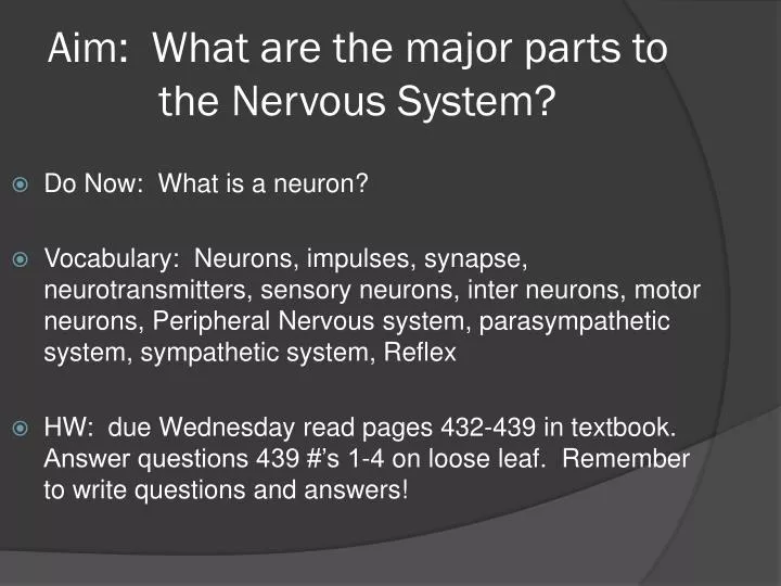 aim what are the major parts to the nervous system