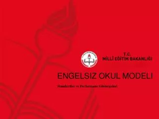 standartlar ve performans g stergeleri
