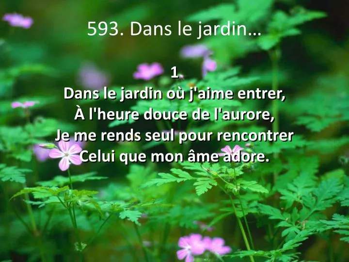 593 dans le jardin