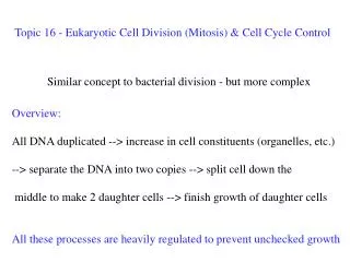 Topic 16 - Eukaryotic Cell Division (Mitosis) &amp; Cell Cycle Control