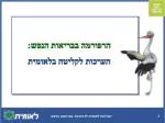 הרפורמה בבריאות הנפש: הערכות לקליטה בלאומית - slide 1