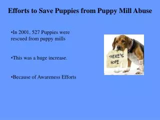 Efforts to Save Puppies from Puppy Mill Abuse