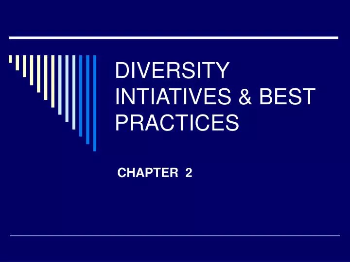 diversity intiatives best practices