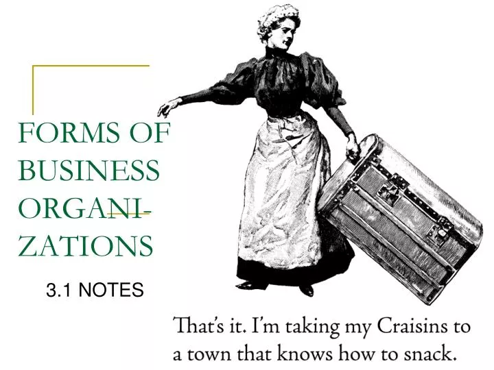 forms of business organi zations