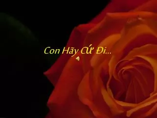 con h y c i