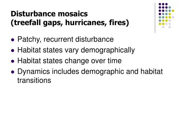disturbance mosaics treefall gaps hurricanes fires