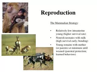 Reproduction