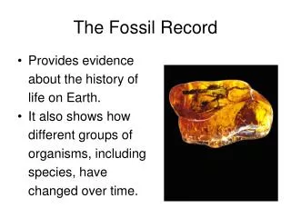 The Fossil Record