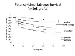 Patency/Limb Salvage/Survival (n=568 grafts)