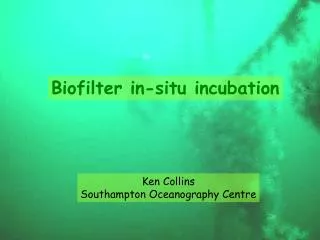 Biofilter in-situ incubation