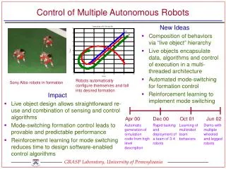 Control of Multiple Autonomous Robots
