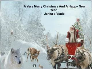 A Very Merry Christmas And A Happy New Year ! Janka a Vlado