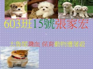 603 15