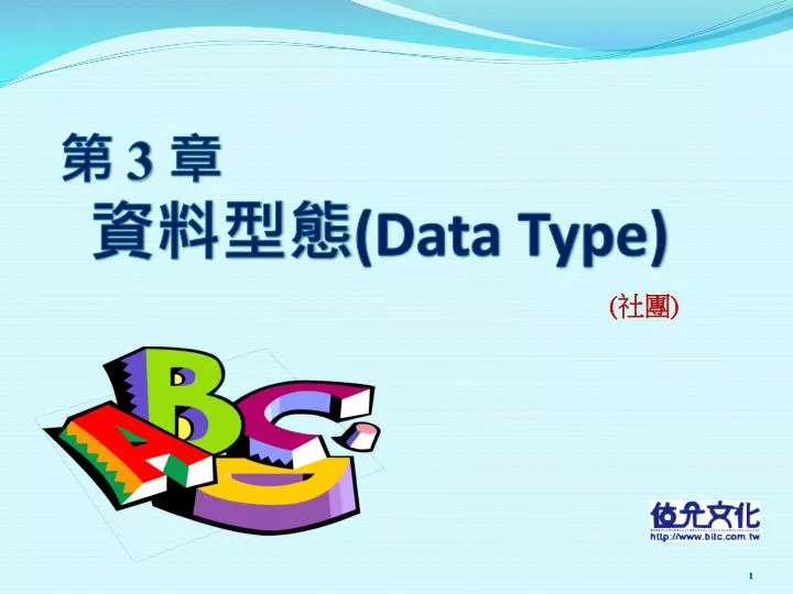 3 data type