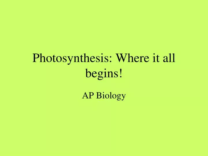 photosynthesis where it all begins